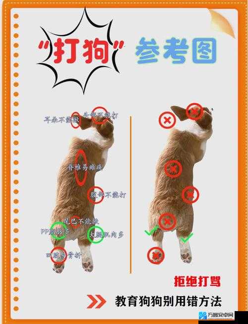 看门狗刷技能点金钱攻略零失误速刷技巧+逃跑路线大公开